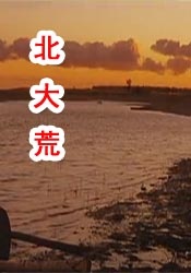 777电人影免费理论片